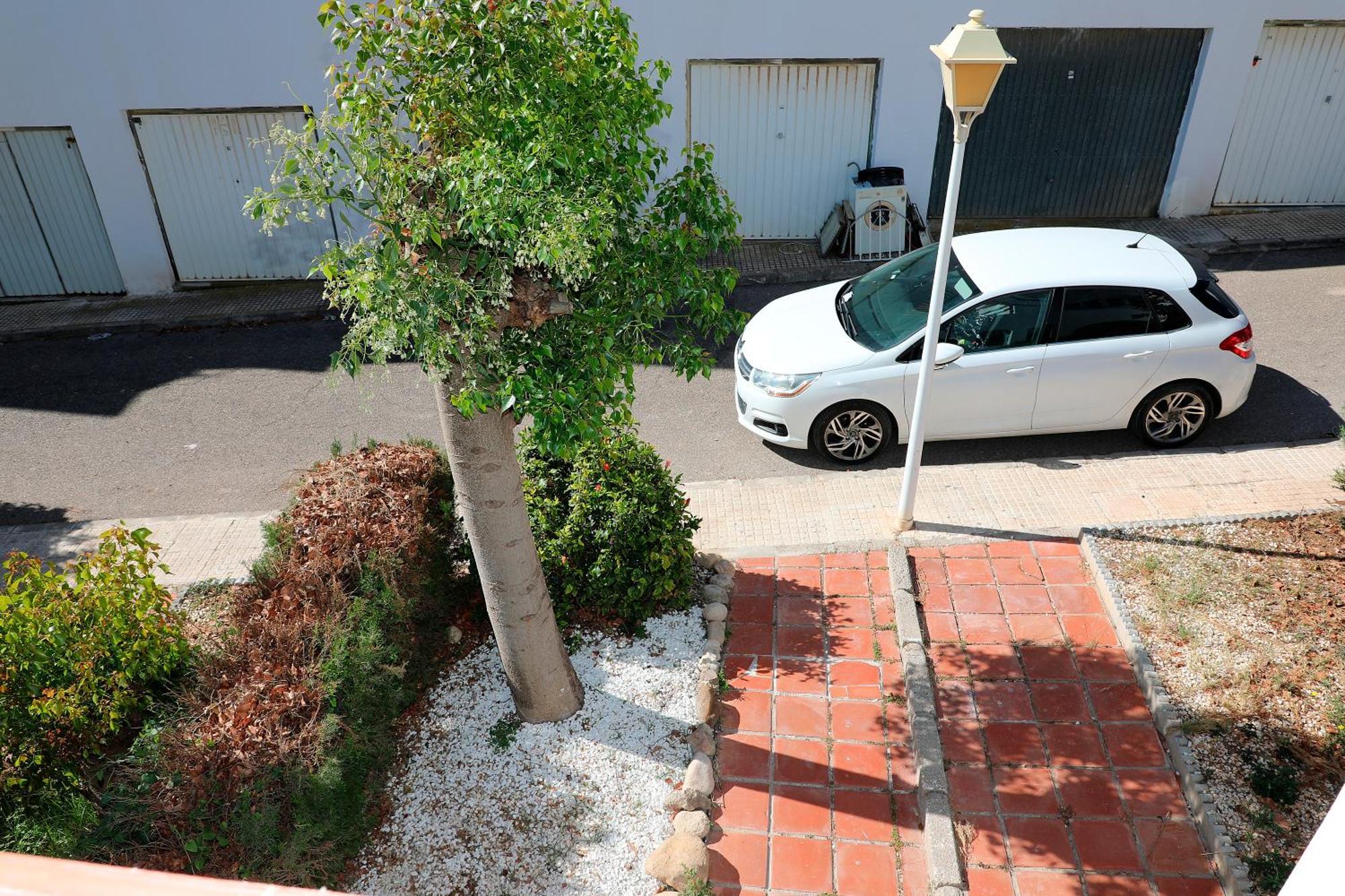 Duplex Mojacar Beach Dış mekan fotoğraf